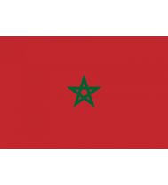 DST: Directorate of Territorial Surveillance: Morocco