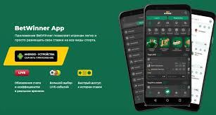 Explore BetWinner Casino Your Ultimate Gaming Destination Explore BetWinner Casino Your Ultimate Gaming Destination