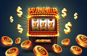 Experience the Thrill of MySpins Casino Your Gateway to Exciting Gambling
